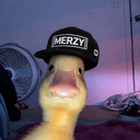 𝑀𝑒𝓇𝓏𝓎
